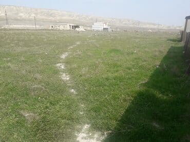 xacmaz torpaq: 42 sot, Kənd təsərrüfatı — 4