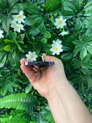 irshad telecom iphone: IPhone 14 Pro, 128 GB, Deep Purple, Zəmanət, Face ID — 4