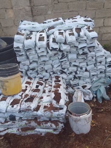 ищу работу садовник на дачу: Salam bağ evlərində, Abyektlərdə parklarda bağban xidməti görülür — 22