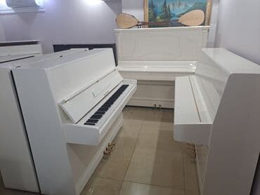 Belarus rusiya istesali renklenmis 3 pedal dasinma koklenme zemaneti