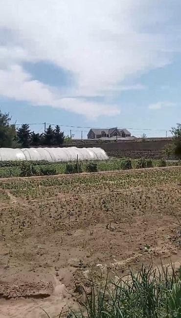 Bakı, Türkan qəs., 20 kv. m, 2 otaqlı, Hovuzsuz, Qaz, İşıq, Su lalafo.az -da Bakı, Türkan qəs., 20 kv. m, 2 otaqlı, Hovuzsuz, Qaz, İşıq, Su