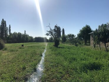 купить дом в азербайджане баку: 70 соток, Для бизнеса, Собственник, Купчая — 3