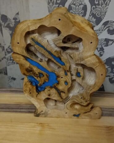 it üçün ev: Hər ölçüdə hər dizaynda qarışqa yuvaları yığılır səliqəli və təmiz — 7