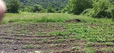 rayonlara: Qax rayonunda ili suya yaxın qaşqa kənd deyilən bir çay var,dağın — 2