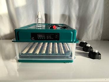 Оборудование для производства: Tam avtomatik inkubatorlar satılır. Toyuq, hinduşqa, qaz, ördək — 1