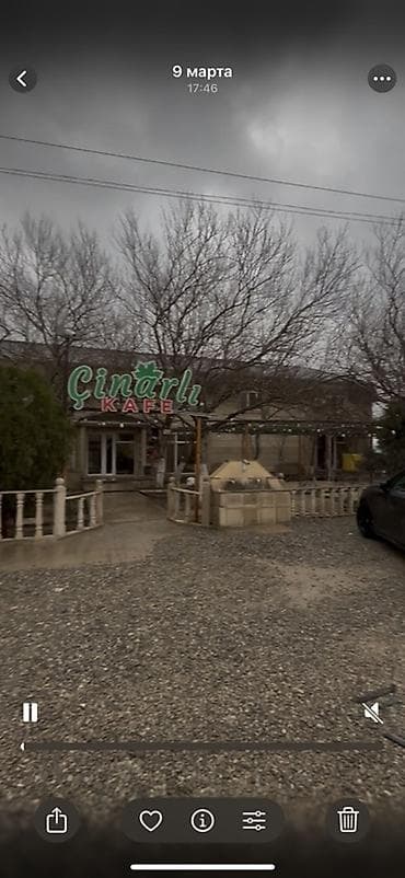 приют для животных в баку адрес: Çınarlı Kafe — ailəvi istirahət və yemək məkanı - Ad: Çınarlı KAFE — 1