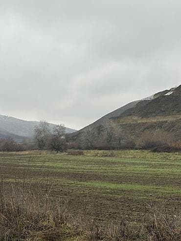 tarqovuda satilan evler: Kənd təsərrüfatı — 4