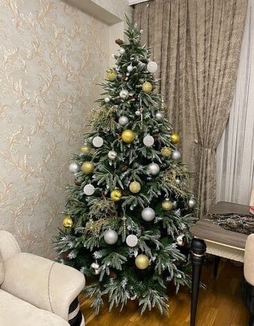 yolka isiqlari satisi: Yolka — 1