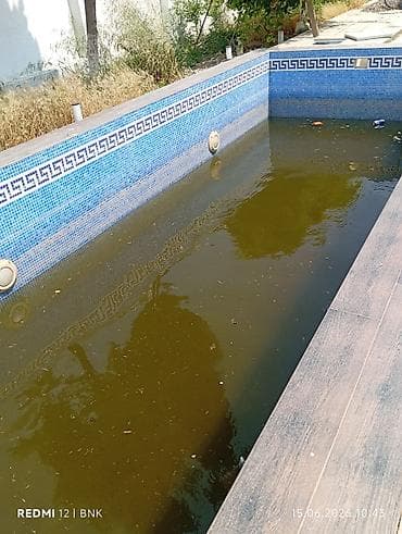 tulpan gulleri: 🏊‍♂️ HOVUZ TƏMİZLİK XİDMƏTİ 🏊‍♀️ Hovuzunuz yaşıllaşıb və ya — 7
