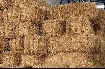 ağdaş yemi: Məhsul: Preslənmiş saman bağlamaları Təsvir: - Kənd təsərrüfatı və — 1