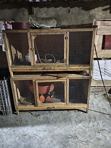 İki mərtəbəli taxta qəfəs – quş və ya kiçik heyvan saxlanışı üçün -