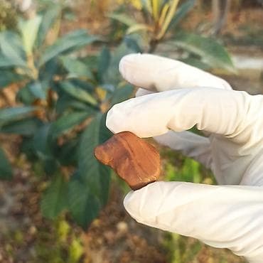 İdman və hobbi: Təbii Jasper (Yeşəm) Daşı Satılır 💎 Satışda olan bu təbii Yəşəm — 10