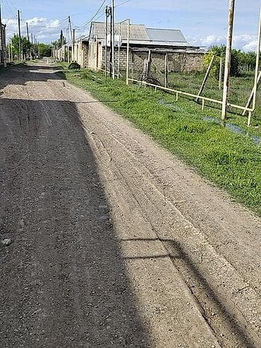 10 sot, Tikinti, Mülkiyyətçi, Kupça (Çıxarış)