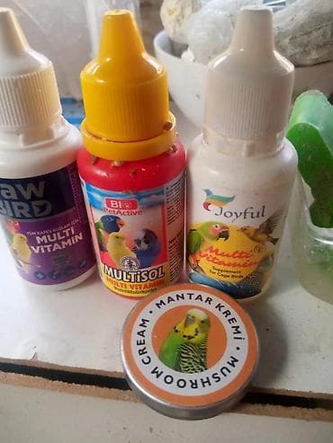 Asia: Elave soze ehtiyac yoxdu — 2