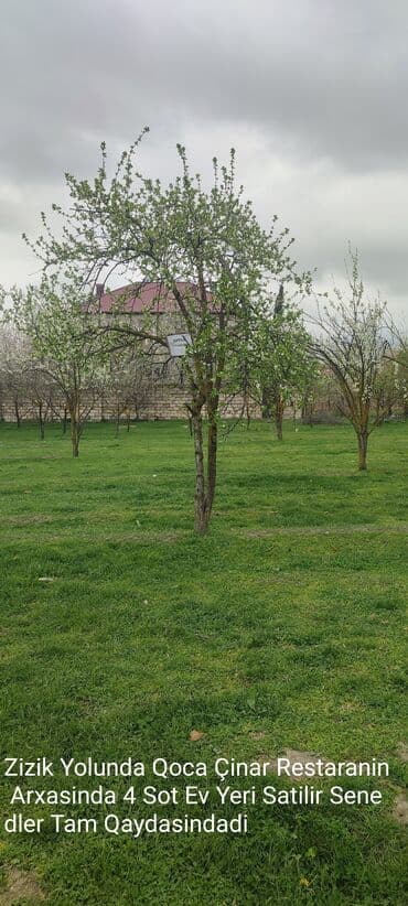 sumqayitda saatliq evler: Kənd təsərrüfatı — 3