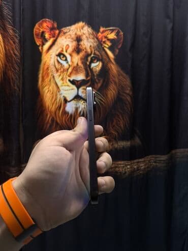 iphone 17 qiyməti: IPhone 15 Pro Max, 256 GB, Graphite, Simsiz şarj — 5