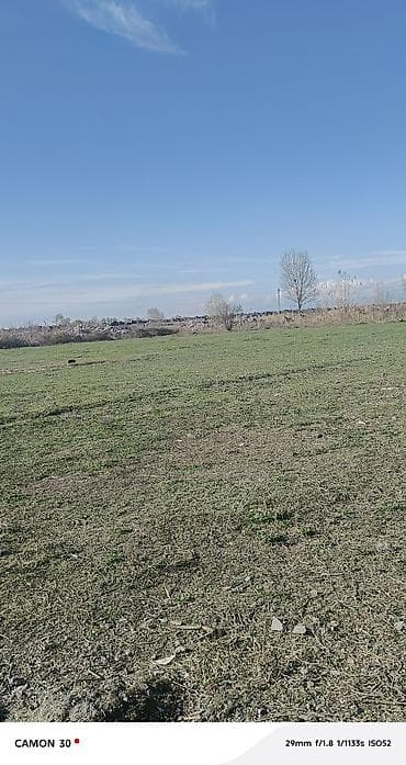 20 sot, Tikinti, Mülkiyyətçi, Kupça (Çıxarış) lalafo.az -da 20 sot, Tikinti, Mülkiyyətçi, Kupça (Çıxarış)