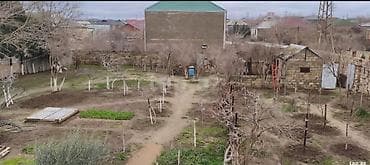 Kənd təsərrüfatı