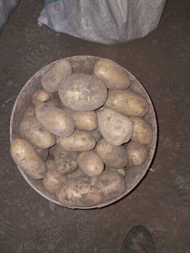 Мёд: Овощи — 2