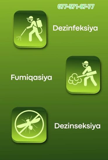 чистка мебели на дому: Дезинфекция, дезинсекция | Клопы, Блохи, Тараканы | Квартиры, Кафе, магазины, Дворы — 5