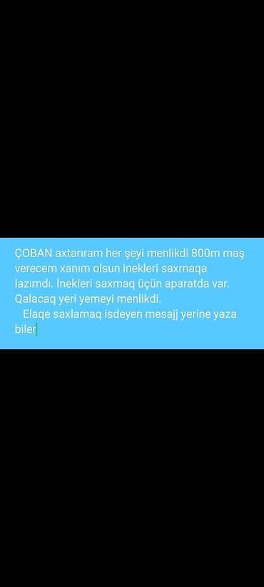 fermaya coban: Çoban, 25 yaş, 1-2 illik təcrübə — 1