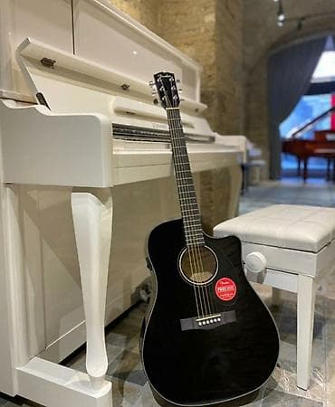 gitara temiri: Akustik gitaralar — 1