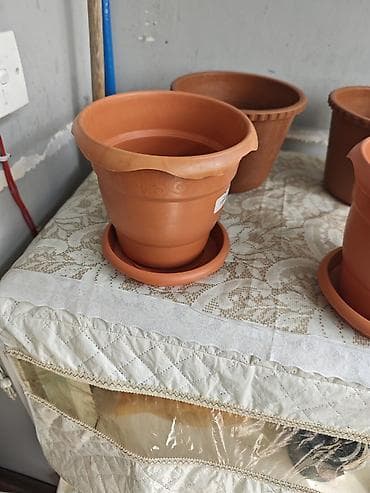 Buket güllər: Gül dibçəkləri – terrakota rəngində, müxtəlif ölçülərdə. Məhsul — 2