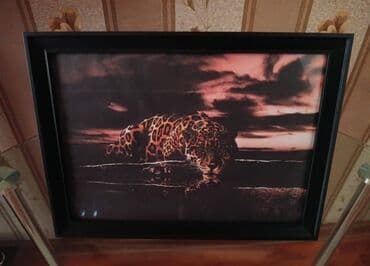 papaq səkilləri: Unvan Hovsan — 1