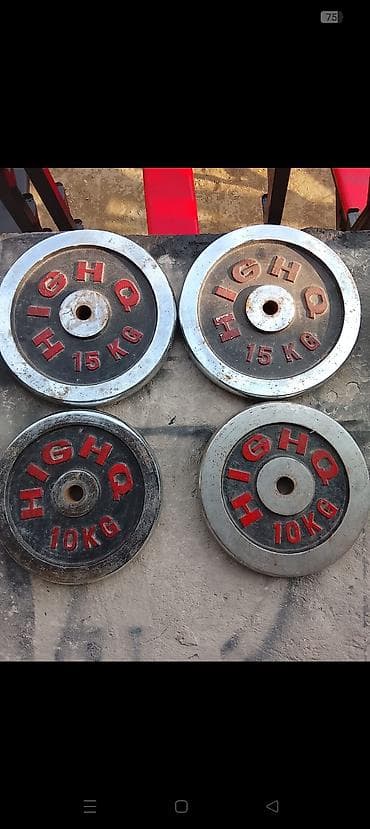 Kitablar və jurnallar: Ştanq diski, Çəki: 50 kq, İşlənmiş — 1