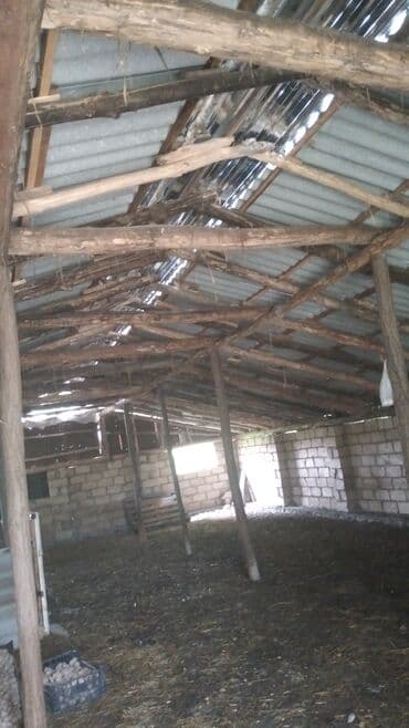 torpaq satisi saytlari: 82 sot, Kənd təsərrüfatı, Kupça (Çıxarış) — 6