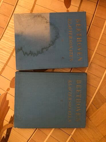 анар исаев история азербайджана 2024: Musiqi kitablarbethoven.Бетховен — 1