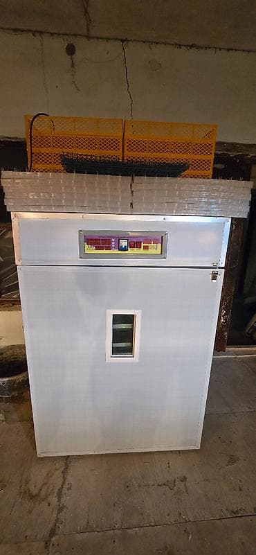 1100 yumurta, Çin, Fabrik istehsalı, Tam avtomat, Bütün növ quşlaq üçün