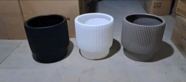 kaybolan yıllar 50: Dibcek Dibcek qabi yumru aq rengli gul.qabi yumru aq rengli dibcek — 20