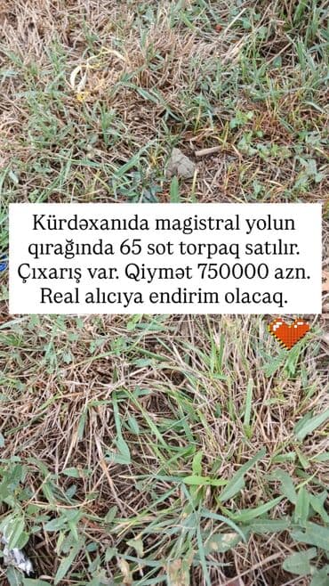 Qarajlar: 65 sot, Kupça (Çıxarış) — 1