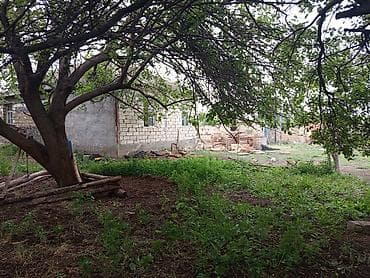 evlerin kirayesi 2018: 3 комнаты, 31 м² — 2