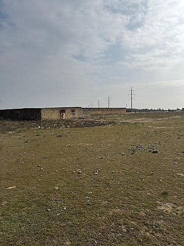mingecevir kiraye: Torpaq sahəsi icarəyə verilir. Hövsan qəsəbəsində yerləşən ferma — 6