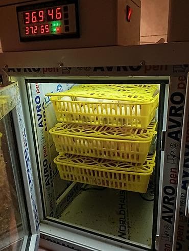 Moyka avadanlığı: Tam avtomat — 1