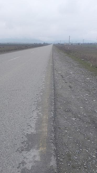 bulbulede torpaq: 20000 sot, Kənd təsərrüfatı, Kupça (Çıxarış) — 3