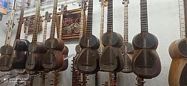 tut meyvesi: 180 manatdan başlayan uçebni və profesional tarlar Tut ağacı, ərik — 1