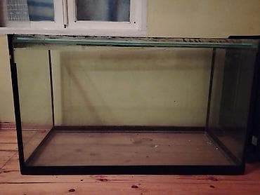 qızıl balıqlar: Dördbucaq akvarium, Boş, 300 l, Ödənişli çatdırılma — 2