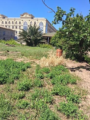 klinika: ŞAĞANDA PREMİUM TORPAQ SAHƏSİ SATILIR! 124 saylı məktəbin tam — 4