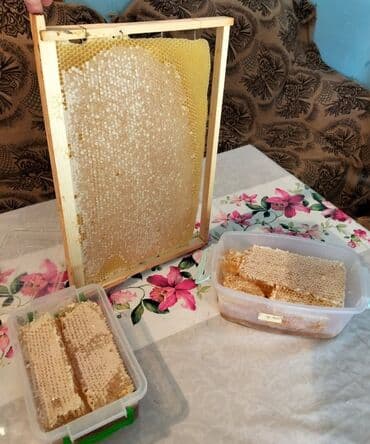 2 yaş tortları: Tebbi şamaxı balı 1 kqsi 35 azn Dağlardan getirilib tebbi çiçək — 2