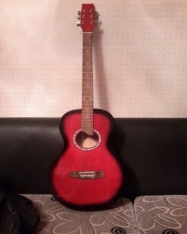 3D panellər: Akustik gitara, 6 sim — 1