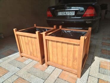 Çöl bitkiləri: Taxta dibçək. rəng; Armut. material; Taxta. bağınıza və ya — 4