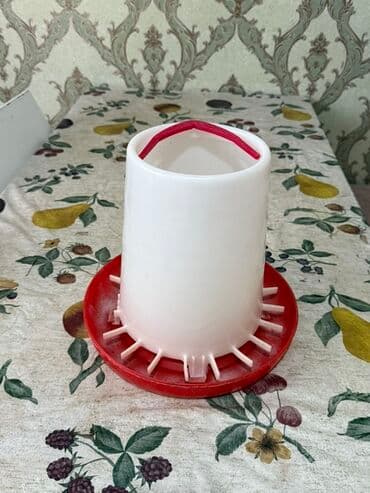 İtlər: Yem qabı, Su üçün, Heyvanlar üçün — 5