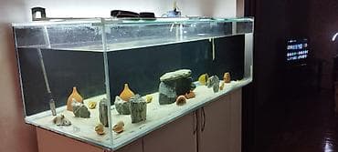 1.50uzunlugu 50hundurluyu 60eni extra clear şüşədən 10luq yığılıb alt