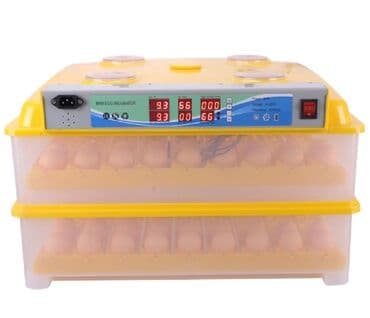 sud şağan aparat: Inkubatorlarin birinci əl satişi unversal inkubator inkubator 196 — 2