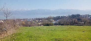 13 sot, Tikinti, Mülkiyyətçi, Kupça (Çıxarış)