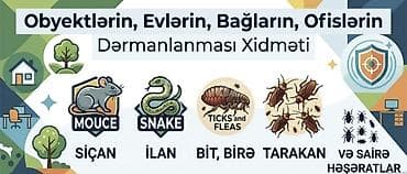 Dezinfeksiya, dezinseksiya: Dezinfeksiya, dezinseksiya | Birələr | Evlər — 1