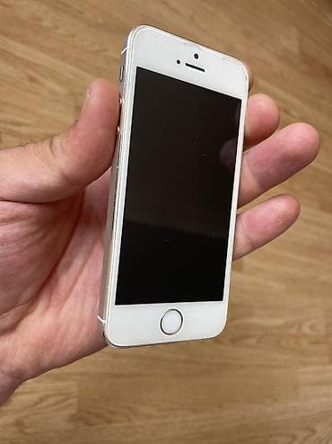 aydin 5s: IPhone 5s, 16 GB — 2